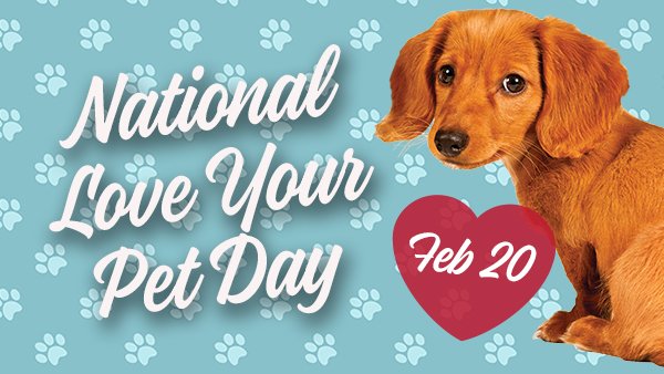 love your pet day